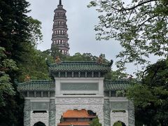 -顺峰山公园