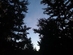 -海底捞火锅(龙湖北京大兴天街店)