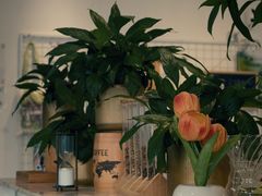 -THE PRESS(复旦大学店)