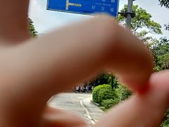 -梧桐山风景名胜区