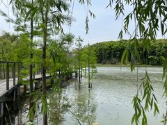 -昆山城市生态森林公园