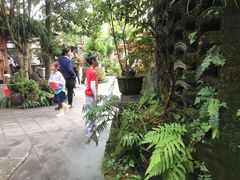 -青城甲(青城山店)