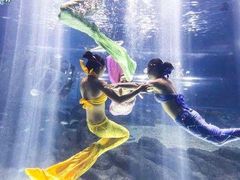 -福州罗源湾海洋世界旅游区