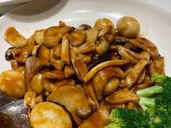 -小放牛炒菜馆(裕华万达店)