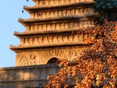 -北京石刻艺术博物馆(五塔寺)