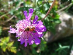 -白草畔自然风景区