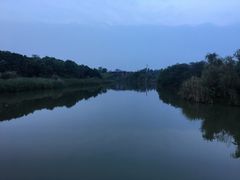 -白鹭湾湿地公园