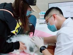 -北京观赏动物医院·24小时大型综合·猫专科·异宠专科