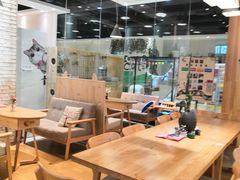 大堂-藏猫猫咖啡主题馆(中央大道店)