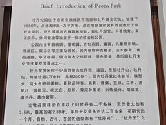 -洛阳市牡丹公园