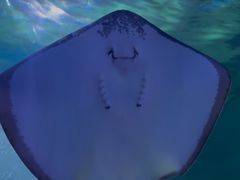 -常州海昌海洋探索馆