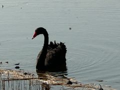 -天津东丽湖风景区