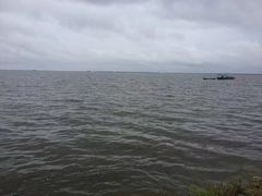 -湖南东洞庭湖国家级自然保护区