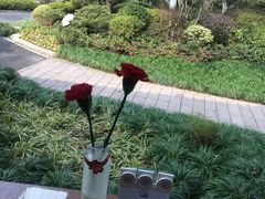 -浙江西子宾馆·瑶园咖啡厅