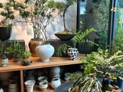 -自由生长植物工作室(深港花卉中心店)