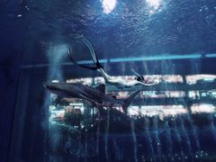 -成都浩海立方海洋公园