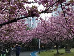 -苏州河梦清园环保主题公园