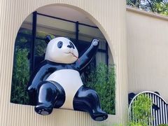 -贵州森林野生动物园
