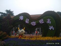 -帖老大羊肉汤烩面烧烤(康复后街总店)