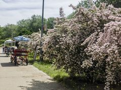 -永定河休闲森林公园