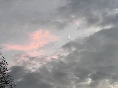 -美丽洲堂