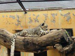 -青藏高原野生动物园