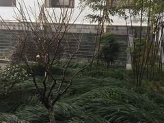 -九华山聚龙大酒店