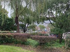 -上海中医药大学附属曙光医院(东部)