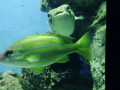 -福州罗源湾海洋世界旅游区