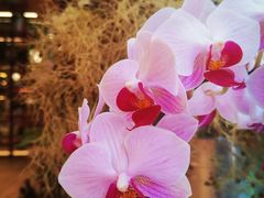 -二酉书店TOYOU BOOKS