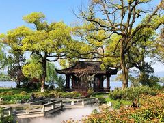 -杭州西湖柳莺里酒店·闻莺厅