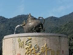 -龙坞茶村