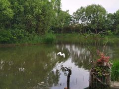 -新江湾城公园