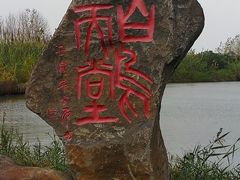 -池杉湖湿地公园