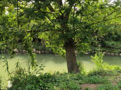 -白鹭湾湿地公园