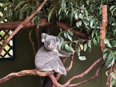 -费瑟代尔野生动物园