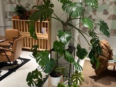 -一尺花园(安和花园店)