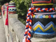 -西双版纳原始森林公园