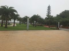 -野狸岛