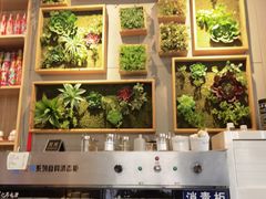 -赤吉·九鲜坊(凯旋城店)