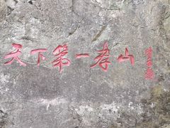 -王顺山国家森林公园