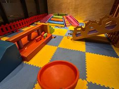 -廊坊固安福朋喜来登酒店