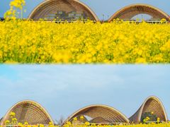 -中国天府农业博览园