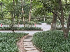 -杭州植物园