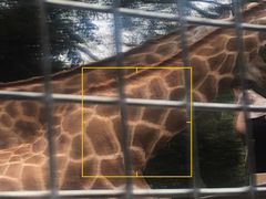 -泉州海丝野生动物世界