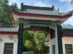 -王顺山国家森林公园