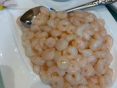 清炒河虾仁-顺风海鲜港(金玉兰店)