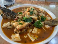 -煲来饱去冷水鱼