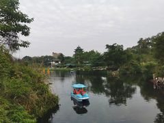 -桂湖森林公园