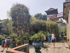 -东莞市可园博物馆